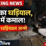 20260131 094346 News E 7 Live