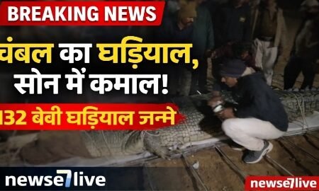 20260131 094346 News E 7 Live