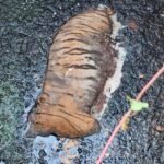 IMG 20260108 WA0051 News E 7 Live