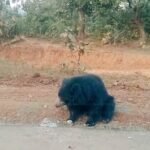 IMG 20260116 WA0005 News E 7 Live