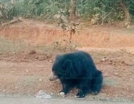 IMG 20260116 WA0005 News E 7 Live