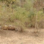 IMG 20260120 WA0022 News E 7 Live