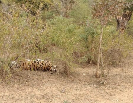 IMG 20260120 WA0022 News E 7 Live