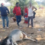 Screenshot 20260118 160236 News E 7 Live