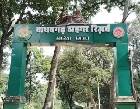 mpbreaking25779863 1200x675.jpg News E 7 Live