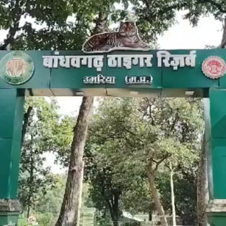 mpbreaking25779863 1200x675.jpg News E 7 Live