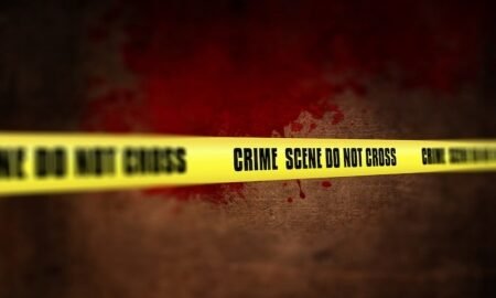 20260204 234851 News E 7 Live