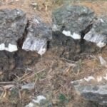 20260206 124948 News E 7 Live