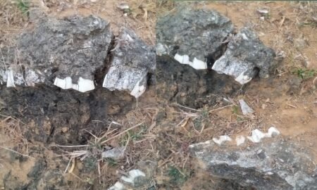 20260206 124948 News E 7 Live