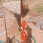 20260206 150924 News E 7 Live