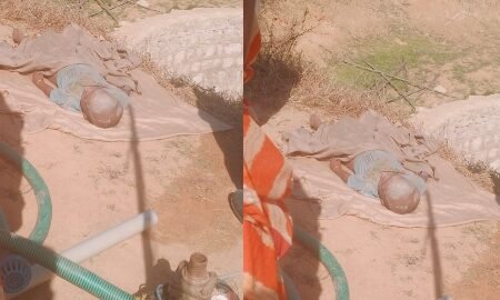 20260206 150924 News E 7 Live