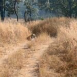 20260208 092035 News E 7 Live