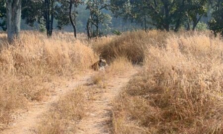 20260208 092035 News E 7 Live