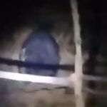 20260209 164943 News E 7 Live