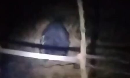 20260209 164943 News E 7 Live