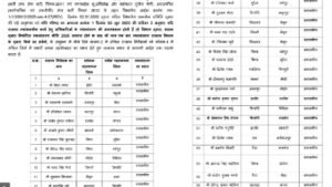 सीधी को मिले चार नायब तहसीलदार और सीधी से कई आर आई का हुआ तबादला बने नायब तहसीलदार 