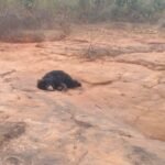 IMG 20260201 WA0021 News E 7 Live