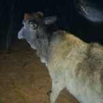 IMG 20260206 WA0014 News E 7 Live