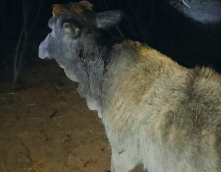 IMG 20260206 WA0014 News E 7 Live