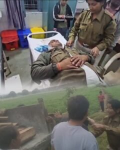 अवैध सागौन पकड़ने गई वन विभाग की टीम पर हमला,दो घायल...