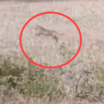 IMG 20260201 182531 News E 7 Live