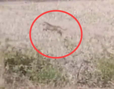 IMG 20260201 182531 News E 7 Live