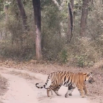 Screenshot 20260211 191634 News E 7 Live