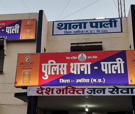 Videoshot 20251110 164601 News E 7 Live