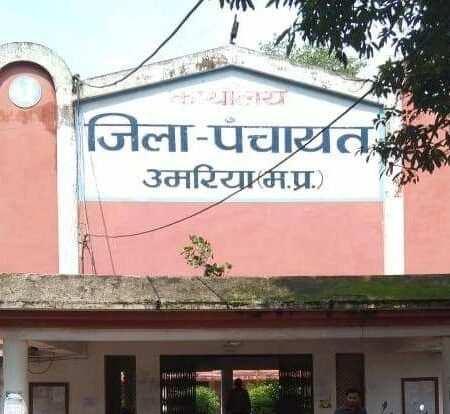 c5513483 596b 47d1 bdd1 dc149916bd5f1647429240597 1647431666 News E 7 Live