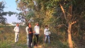 पीएचडी करने के बाद जैविक खेती कर रहे रीवा के किसान