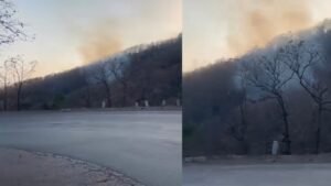 छुहिया घाटी में भड़की भीषण आग, 10 हेक्टेयर जंगल चपेट में, 20 दिनों से डेरा डाले हाथियों को बचाने में जुटा वन विभाग