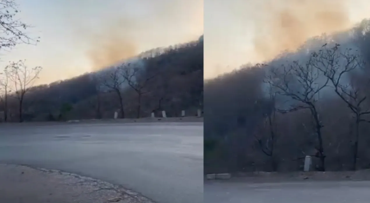 20260312 112033 News E 7 Live