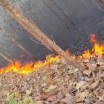 हनुमानगढ़ के जंगल में भीषण आग,आधा किलोमीटर तक फैली लपटें, रिहायशी इलाकों की ओर बढ़ा खतरा, वन विभाग नदारद 