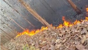 हनुमानगढ़ के जंगल में भीषण आग,आधा किलोमीटर तक फैली लपटें, रिहायशी इलाकों की ओर बढ़ा खतरा, वन विभाग नदारद 