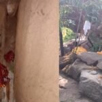 “दो पहाड़, घना जंगल और अटूट आस्था,मां कोटमहिन के दरबार में उमड़ा जनसैलाब, ‘बीमारी विदाई’ की परंपरा बनी चर्चा का केंद्र”