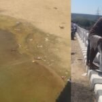 सोन नदी के गऊ घाट में बोरे और कपड़ों में बंधी मिली अज्ञात लाश, इलाके में सनसनी,पुलिस जांच में जुटी