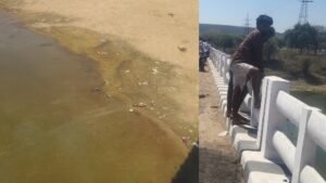 सोन नदी के गऊ घाट में बोरे और कपड़ों में बंधी मिली अज्ञात लाश, इलाके में सनसनी,पुलिस जांच में जुटी