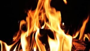 लड़की के मोबाइल से मैसेज करके जंगल बुलाया, पहुंचे तो पेट्रोल डालकर जला दिया था