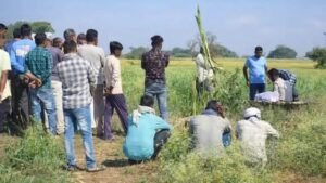 महिला के सिर और मुंह पर वार कर हत्या, खेत की मेढ़ पर मिली लाश