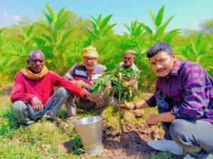 हरित क्रांति को बढ़ावा दे रहे डॉक्टर अनूप द्विवेदी 