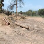 बीट गार्ड ने विभाग एवं पुलिस पर सहयोग न करने का लगाया आरोप