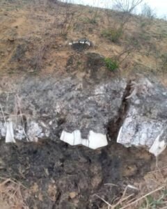 सीधी में 2.5 लाख साल पुराने हाथियों के पूर्वजों के जीवाश्म मिले, प्रागैतिहासिक जीवन पर नई रोशनी