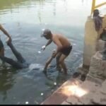 भोपाल के बड़े तालाब में मिला अज्ञात शव, इलाके में फैली सनसनी