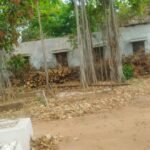 पेड़ों की बलि पर सियासत गरम, वक्फ अध्यक्ष ने खोला मोर्चा