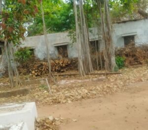 पेड़ों की बलि पर सियासत गरम, वक्फ अध्यक्ष ने खोला मोर्चा