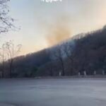 छुहिया घाटी में भड़की भीषण आग, 10 हेक्टेयर जंगल चपेट में, 20 दिनों से डेरा डाले हाथियों को बचाने में जुटा वन विभाग