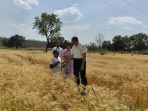 ओलावृष्टि से प्रभावित क्षेत्रों का कलेक्टर ने किया निरीक्षण, पारदर्शी सर्वे और त्वरित राहत के निर्देश