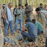 मां की मौत से अब मां बनने तक का सफर,संघर्ष की अनोखी कहानी