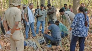 मां की मौत से अब मां बनने तक का सफर,संघर्ष की अनोखी कहानी
