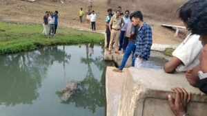 गंजरा नाला में तैरता मिला महिला का शव, मिर्गी की आशंका से जुड़ा मामला